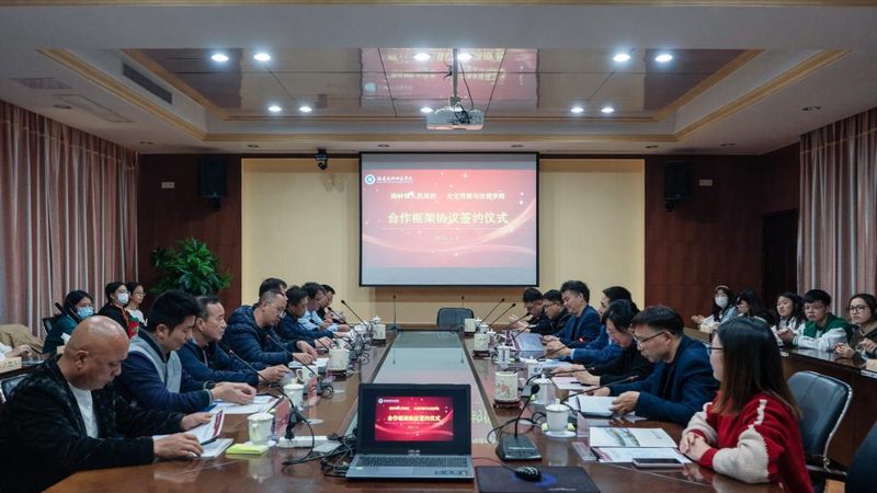 品牌设计合同规范：保障合作共赢的基石